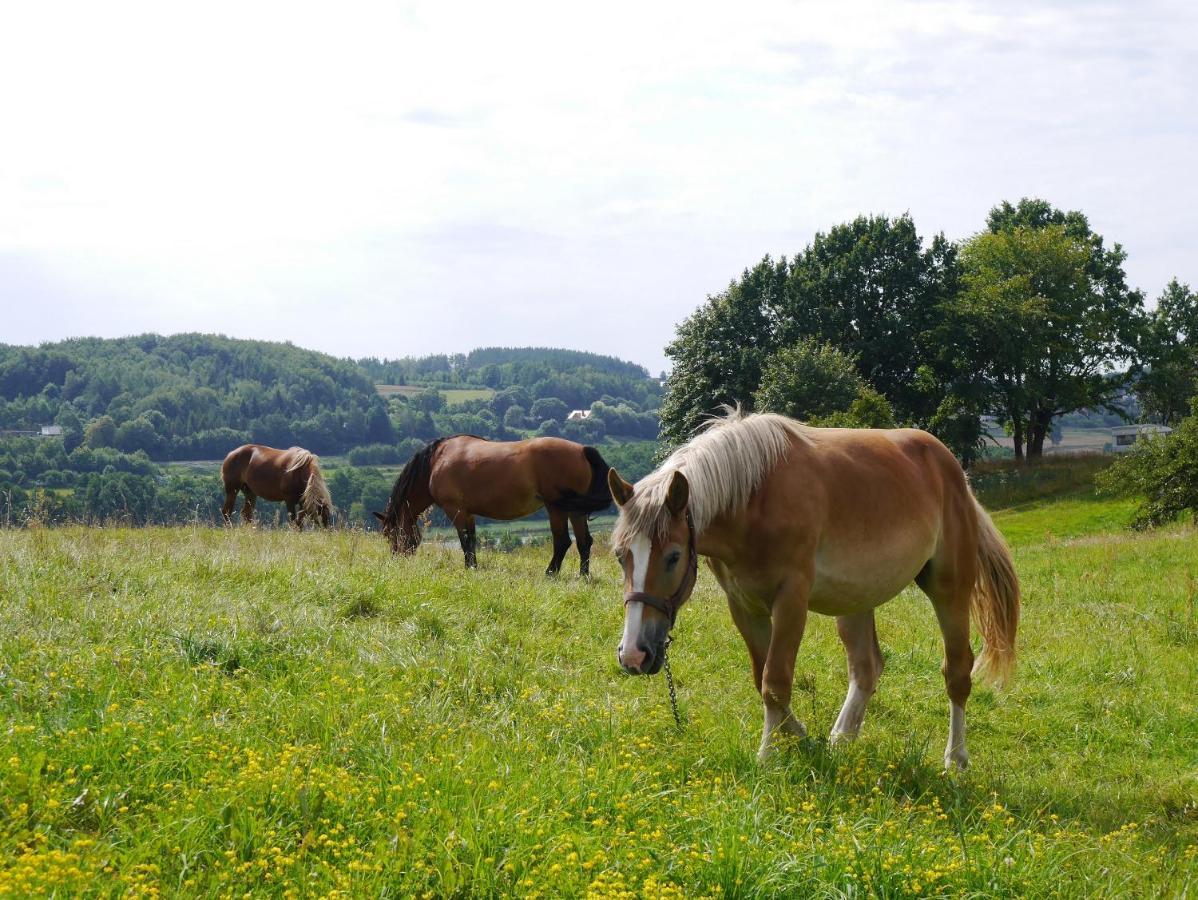 Agroturystyka Pod Ptasią Górą Golubie Zewnętrze zdjęcie