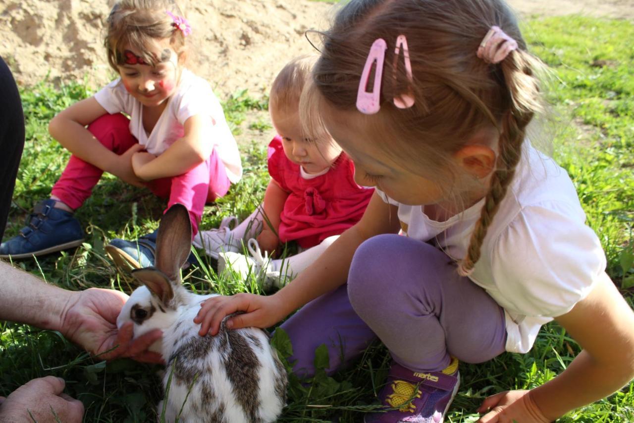 Agroturystyka Pod Ptasią Górą Golubie Zewnętrze zdjęcie