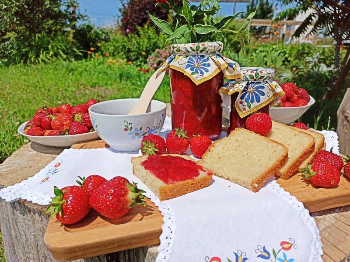 Agroturystyka Pod Ptasią Górą Golubie Zewnętrze zdjęcie